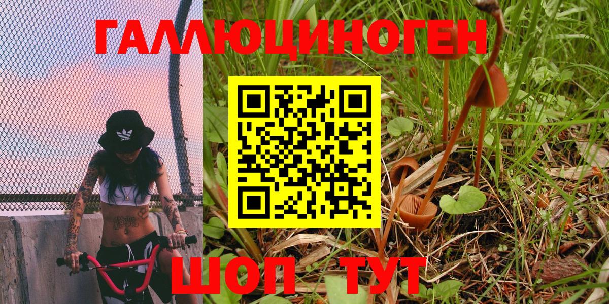 Псилоцибиновые грибы мицелий Астрахань