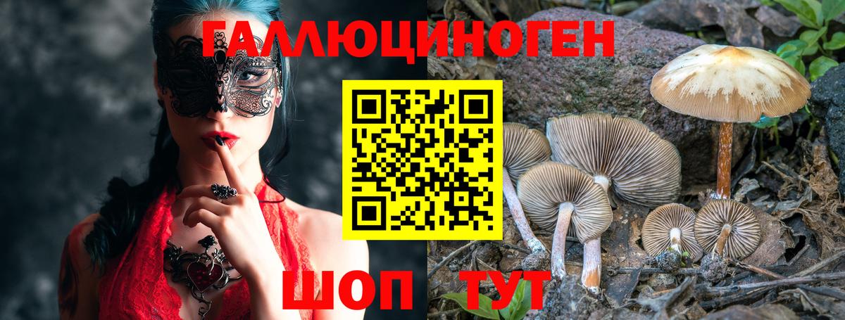 Астрахань  Псилоцибиновые грибы MAGIC MUSHROOMS  купить   Вход с VPN  Псилоцибиновые грибы мицелий 